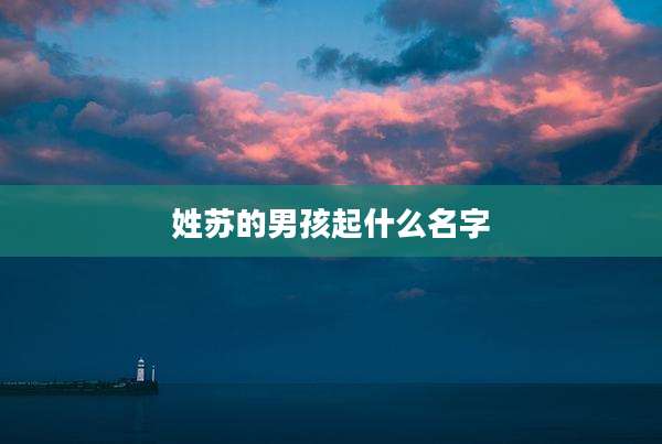 姓苏的男孩起什么名字