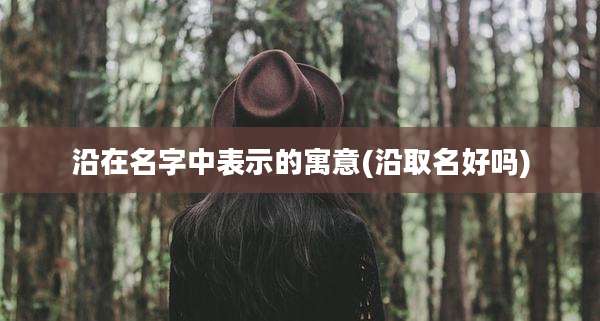 沿在名字中表示的寓意(沿取名好吗)