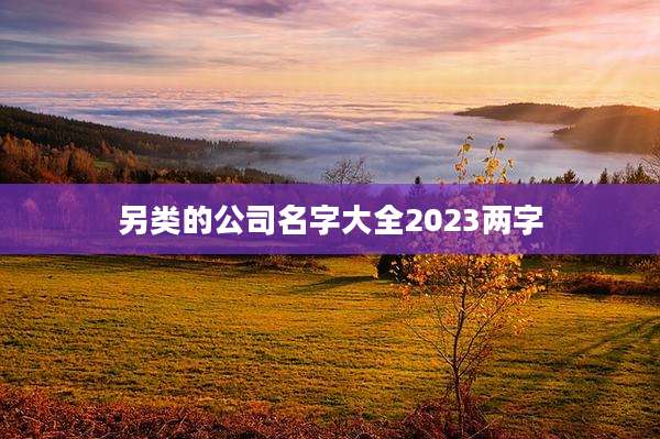 另类的公司名字大全2023两字