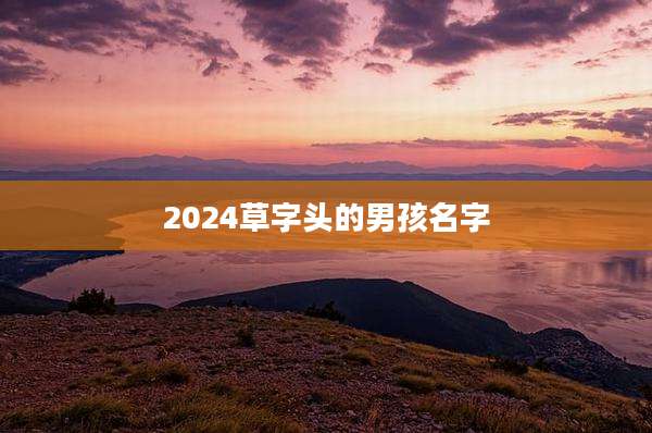2024草字头的男孩名字