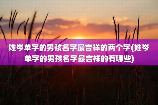 姓岑单字的男孩名字最吉祥的两个字(姓岑单字的男孩名字最吉祥的有哪些)