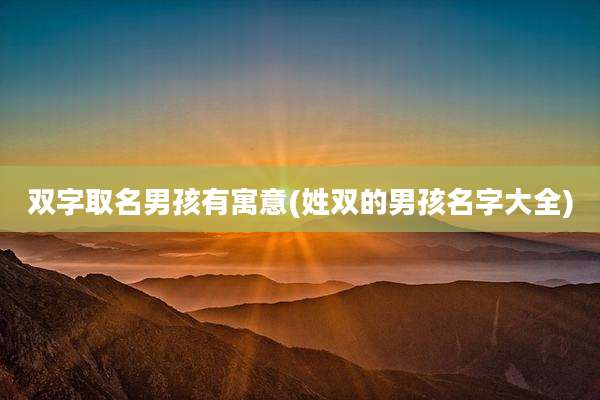 双字取名男孩有寓意(姓双的男孩名字大全)