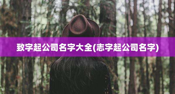 致字起公司名字大全(志字起公司名字)