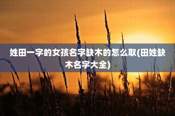 姓田一字的女孩名字缺木的怎么取(田姓缺木名字大全)