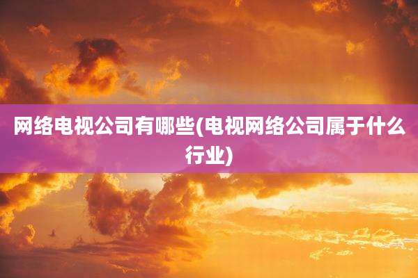 网络电视公司有哪些(电视网络公司属于什么行业)