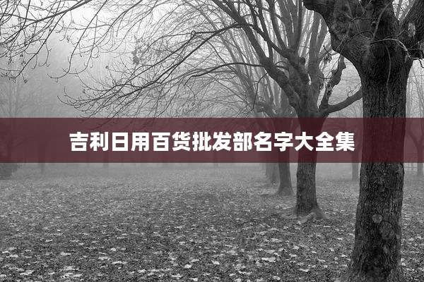 吉利日用百货批发部名字大全集