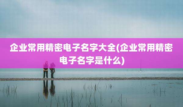 企业常用精密电子名字大全(企业常用精密电子名字是什么)