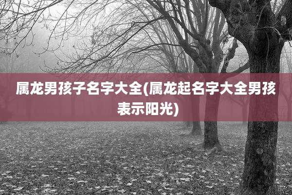 属龙男孩子名字大全(属龙起名字大全男孩 表示阳光)