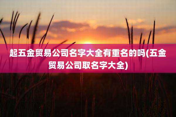 起五金贸易公司名字大全有重名的吗(五金贸易公司取名字大全)