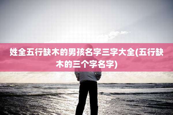 姓全五行缺木的男孩名字三字大全(五行缺木的三个字名字)