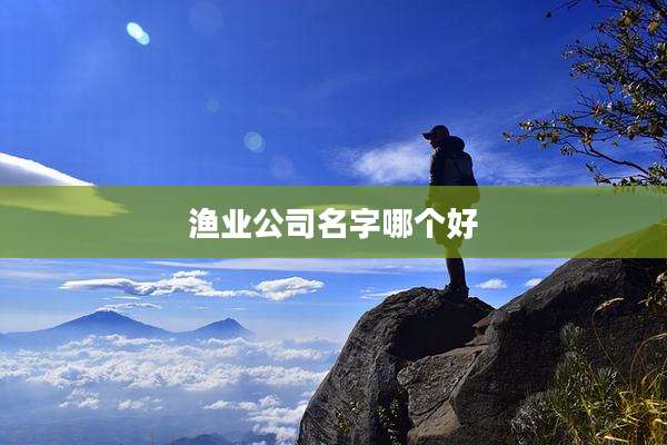 渔业公司名字哪个好