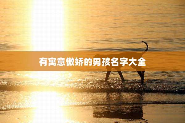 有寓意傲娇的男孩名字大全