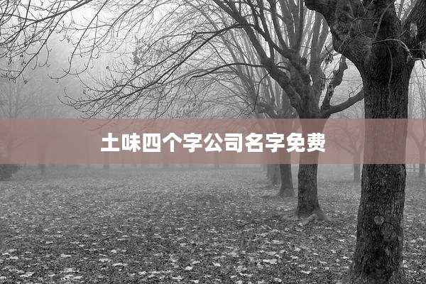 土味四个字公司名字免费