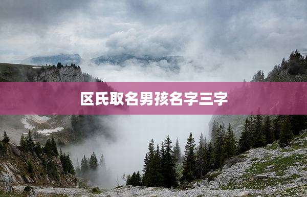 区氏取名男孩名字三字