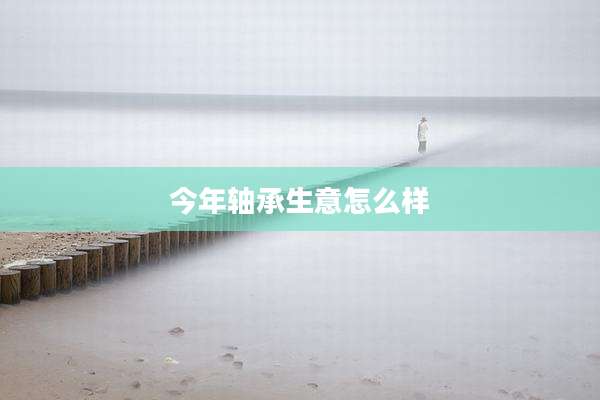 今年轴承生意怎么样