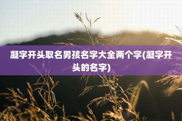 凝字开头取名男孩名字大全两个字(凝字开头的名字)