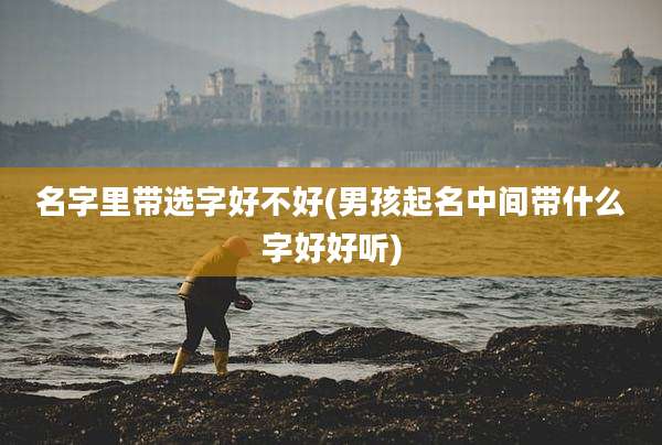 名字里带选字好不好(男孩起名中间带什么字好好听)