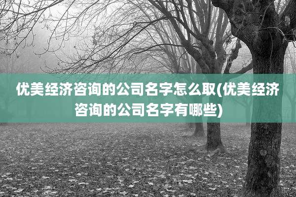 优美经济咨询的公司名字怎么取(优美经济咨询的公司名字有哪些)