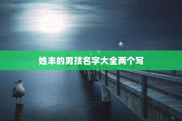姓丰的男孩名字大全两个写