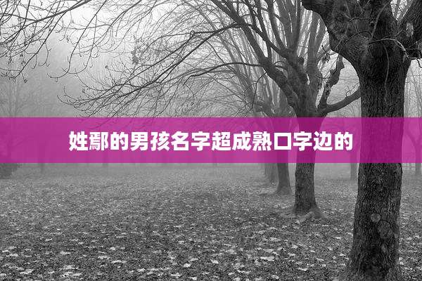 姓鄢的男孩名字超成熟口字边的