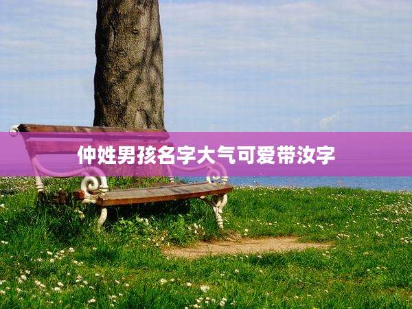 仲姓男孩名字大气可爱带汝字