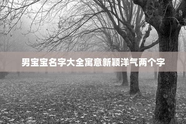 男宝宝名字大全寓意新颖洋气两个字