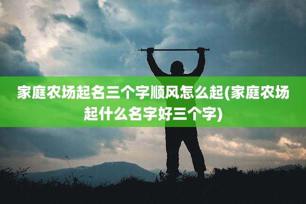 家庭农场起名三个字顺风怎么起(家庭农场起什么名字好三个字)