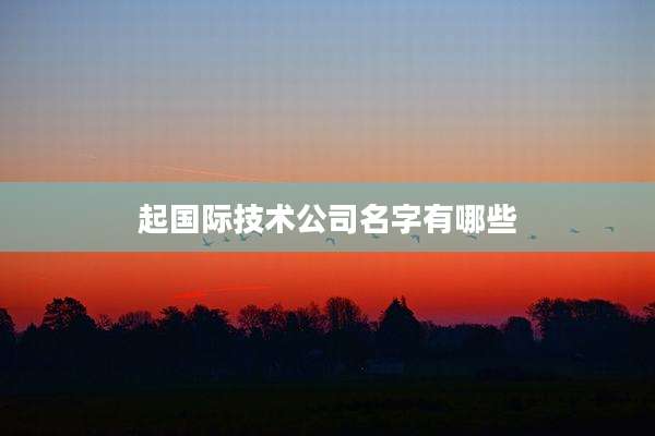 起国际技术公司名字有哪些