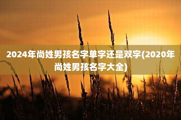 2024年尚姓男孩名字单字还是双字(2020年尚姓男孩名字大全)