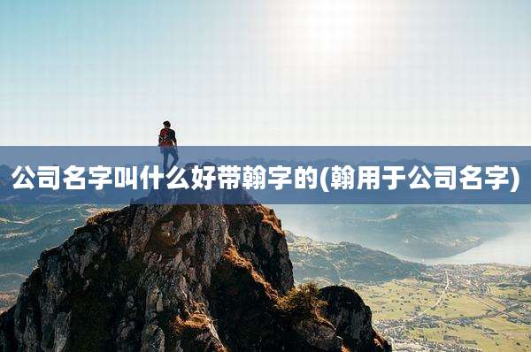公司名字叫什么好带翰字的(翰用于公司名字)