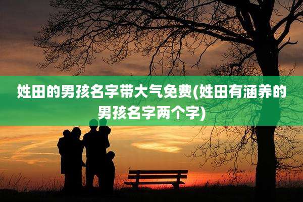 姓田的男孩名字带大气免费(姓田有涵养的男孩名字两个字)