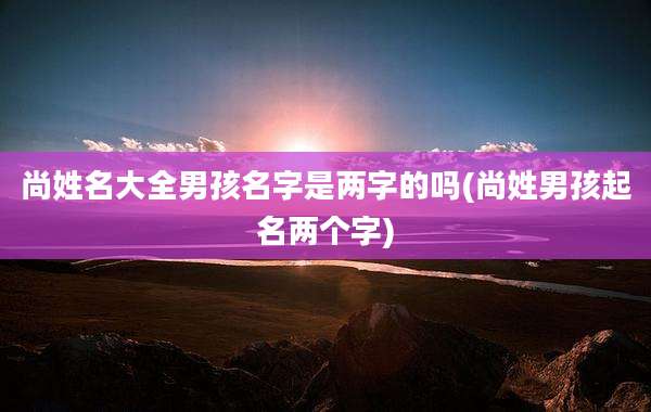 尚姓名大全男孩名字是两字的吗(尚姓男孩起名两个字)