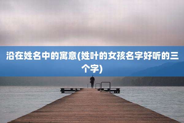 沿在姓名中的寓意(姓叶的女孩名字好听的三个字)