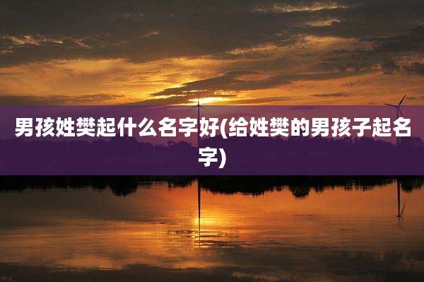 男孩姓樊起什么名字好(给姓樊的男孩子起名字)