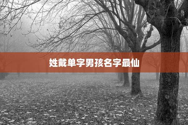 姓戴单字男孩名字最仙