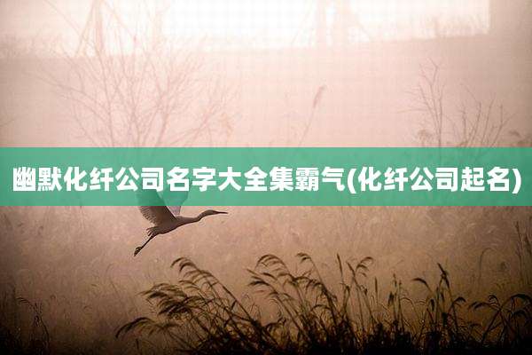 幽默化纤公司名字大全集霸气(化纤公司起名)