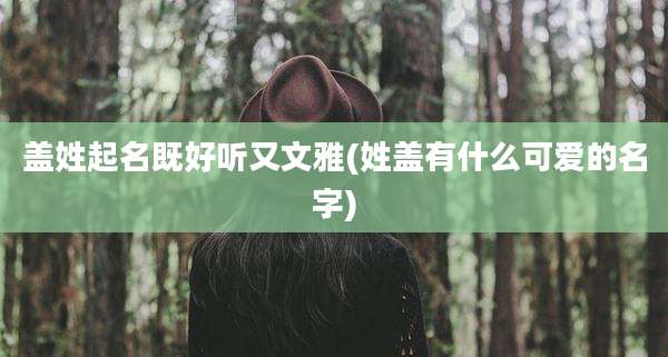 盖姓起名既好听又文雅(姓盖有什么可爱的名字)