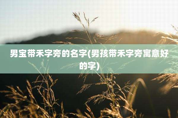 男宝带禾字旁的名字(男孩带禾字旁寓意好的字)