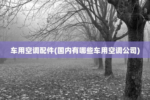 车用空调配件(国内有哪些车用空调公司)