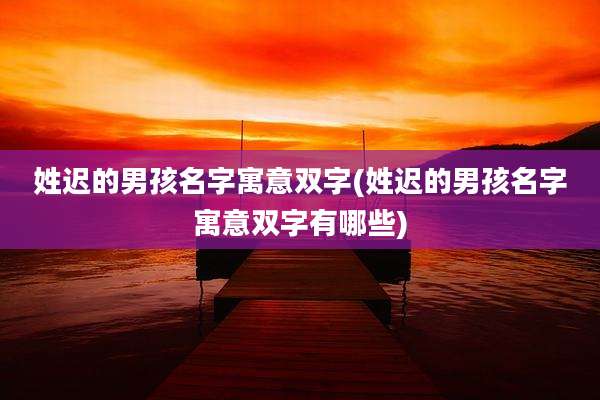 姓迟的男孩名字寓意双字(姓迟的男孩名字寓意双字有哪些)
