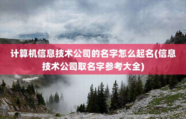 计算机信息技术公司的名字怎么起名(信息技术公司取名字参考大全)
