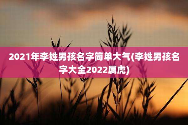 2021年李姓男孩名字简单大气(李姓男孩名字大全2022属虎)