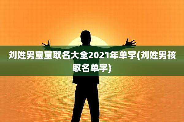 刘姓男宝宝取名大全2021年单字(刘姓男孩取名单字)