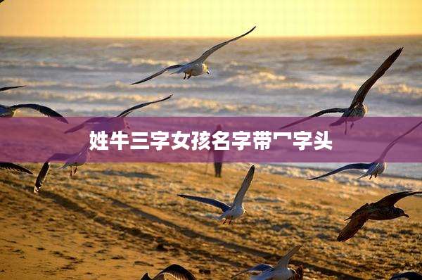 姓牛三字女孩名字带冖字头