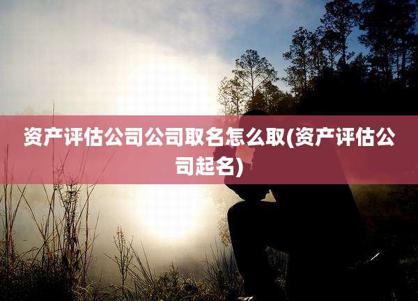 资产评估公司公司取名怎么取(资产评估公司起名)
