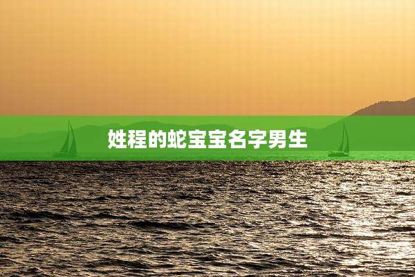 姓程的蛇宝宝名字男生