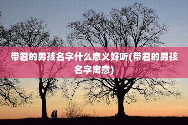 带君的男孩名字什么意义好听(带君的男孩名字寓意)