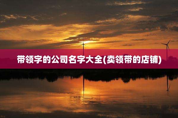 带领字的公司名字大全(卖领带的店铺)