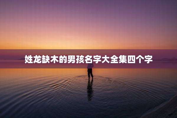 姓龙缺木的男孩名字大全集四个字
