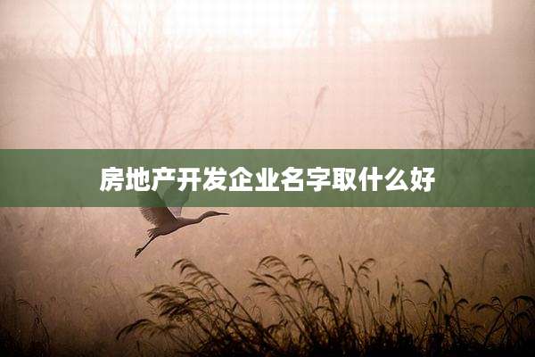 房地产开发企业名字取什么好